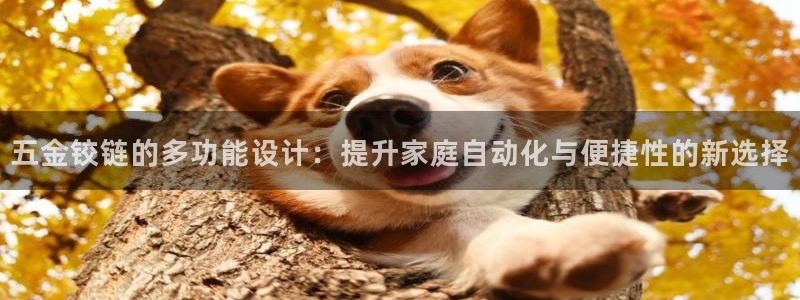 天狮娱乐提现不到账